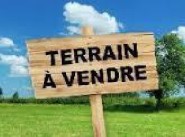 Terreno Guise